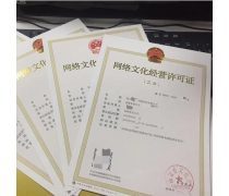 网络文化经营中的产品库构建与管理