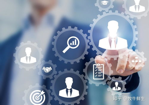 三农新政策 以网络文化经营全面振兴乡村经济文化发展