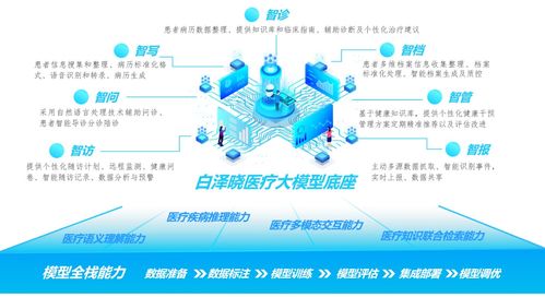 布局新赛道，探索数字新征程 宁波市首批公共数据授权运营应用场景正式发布上线