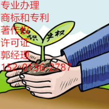 网络文化经营 机遇、挑战与合规之道